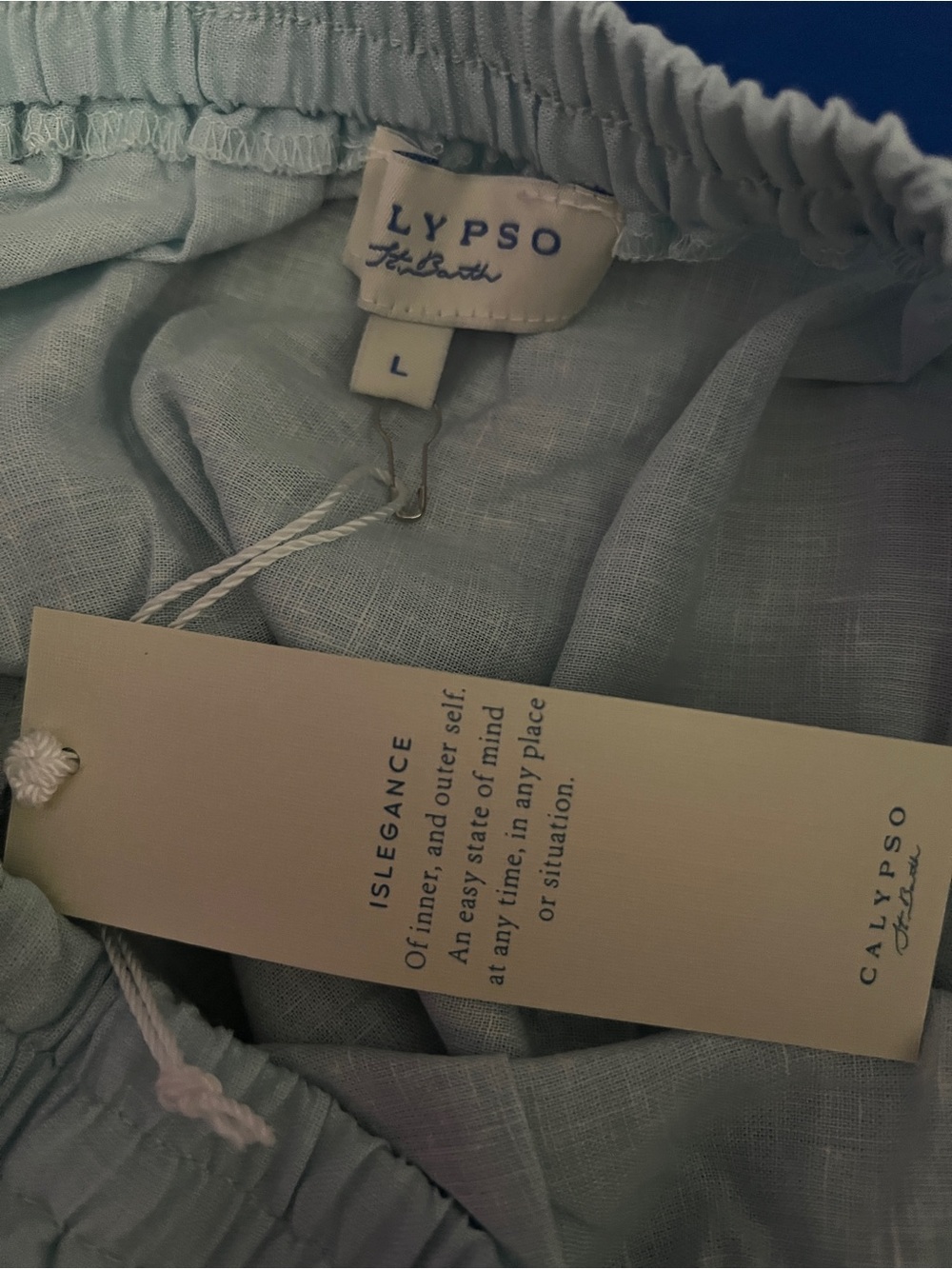 Calypso St. Barth Sky Blue Maxi Skirt with Floral Border - Picture 2 of 8